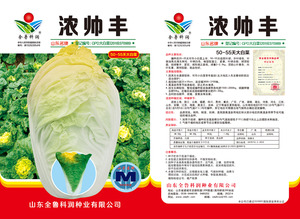 浓帅丰 (2)