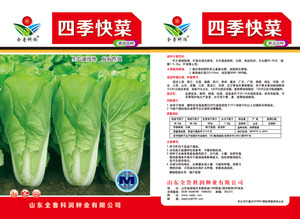 四季快菜定文