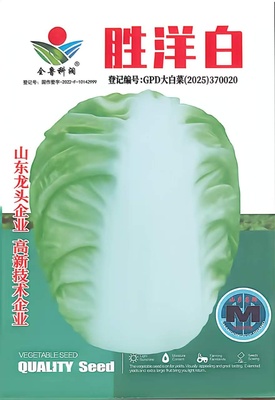 胜洋白