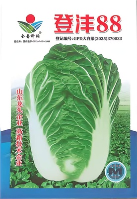 登沣88