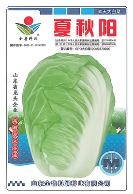 夏秋阳