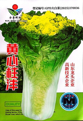 黄心柱沣